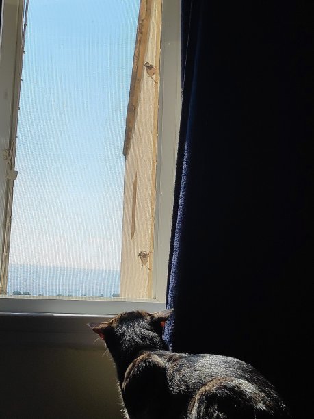 新朋友图片下载