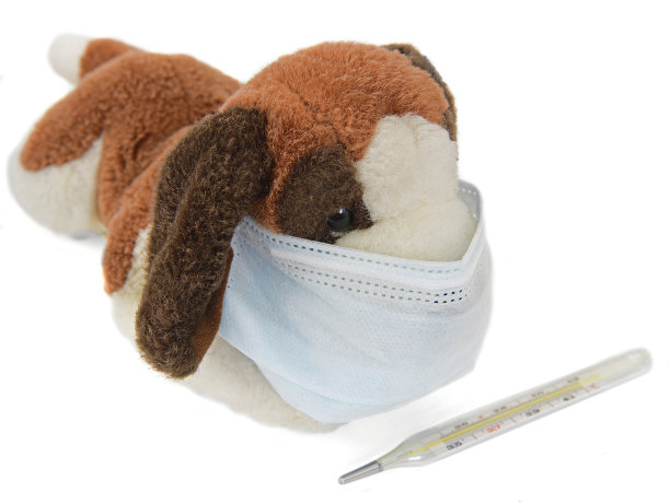 生病的小狗。玩具医用口罩和水银温度计图片下载