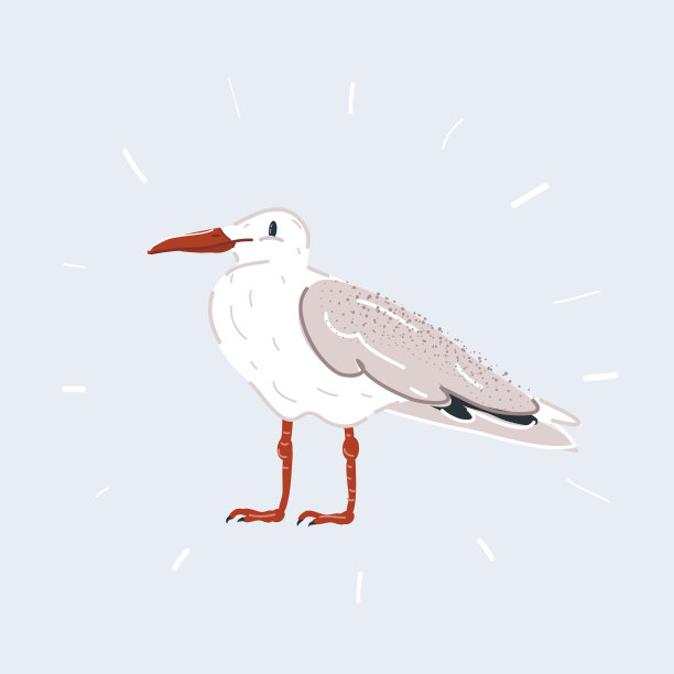 矢量插图的白色鸟海鸥孤立在白色图片下载