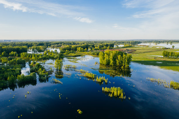 春天溢出景观图片下载