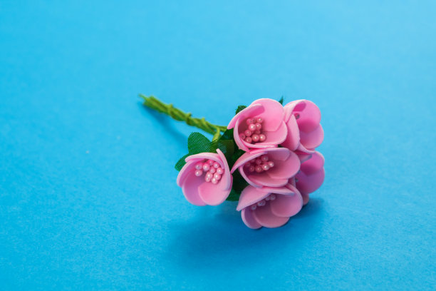 一束装饰的粉红色玫瑰在蓝色的背景，微距照片图片下载