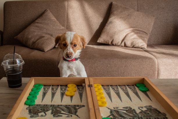 可爱的狗玩棋盘游戏图片下载