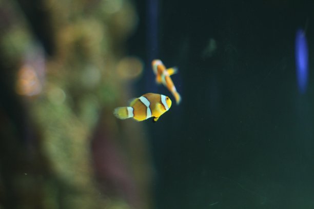 在蓝线图片下载