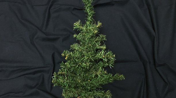 圣诞树图片下载