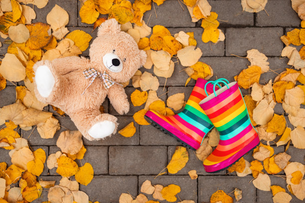 秋天的树叶，五颜六色的橡胶雨靴和城市公园里的泰迪熊图片下载