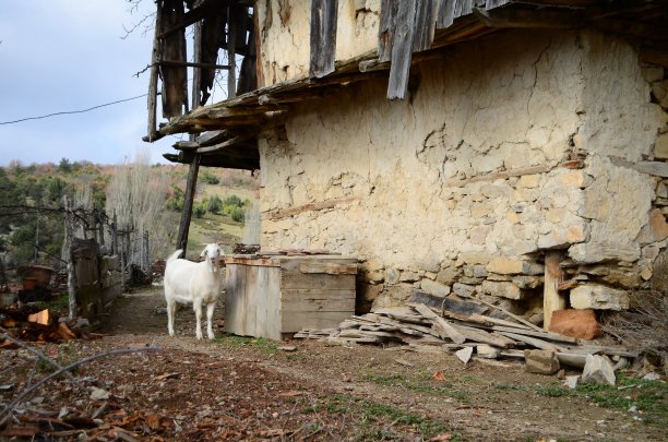 房子的照片图片下载