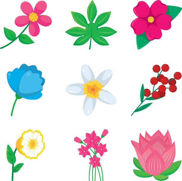 荷花和五彩缤纷的花卉图标集图片下载