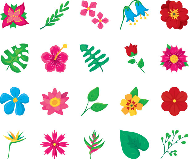 Monstera叶和热带花卉图标集图片下载