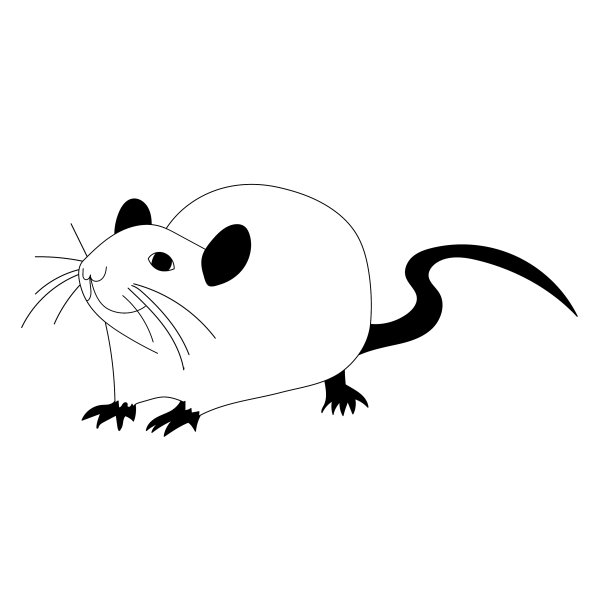 在白色的背景上，黑白的剪影图片下载