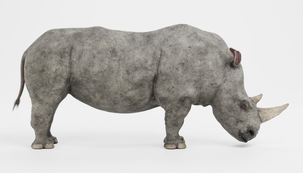 逼真的白犀牛的3D渲染图片下载