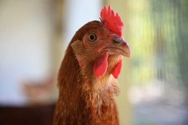 笨拙的高科素材图片