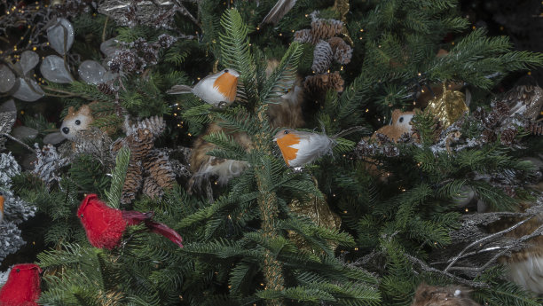 圣诞玩具的形式的鸟。装饰圣诞树的背景。新年快乐理念。图片下载