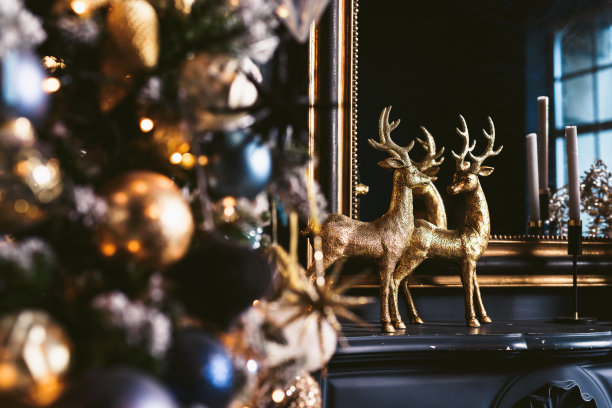 在室内装饰圣诞树。圣诞树和礼物的微距或近距离图片。礼品卡背景图片下载