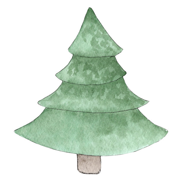 手绘水彩松树插图。图片下载