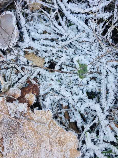 沃罗涅日图片下载