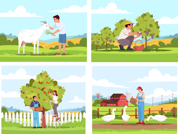 村活动半平面设置图片下载