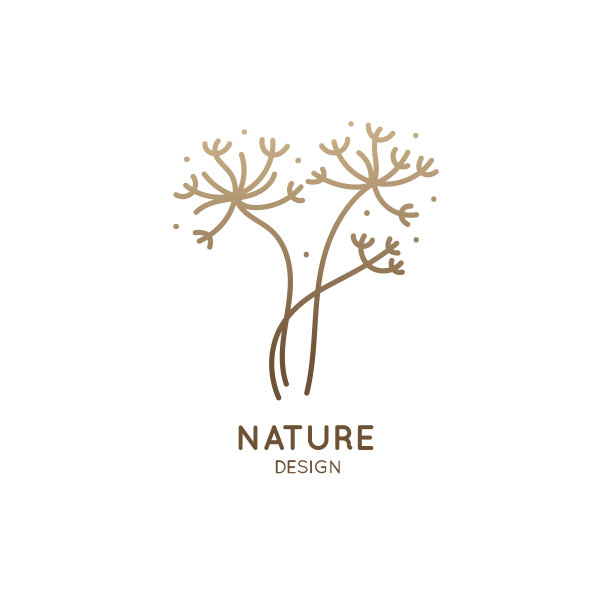 热带花卉草本图片下载