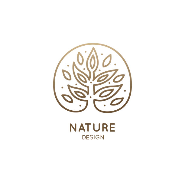 热带丛林树图片下载