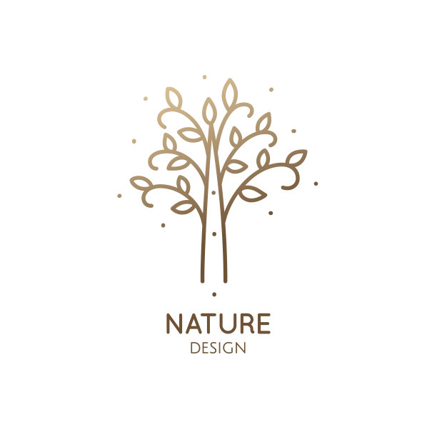 热带丛林树图片下载