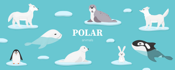 可爱的卡通方块兔子图片下载