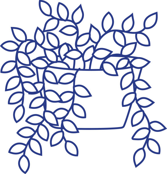 盆栽植物室内装饰园艺图片下载