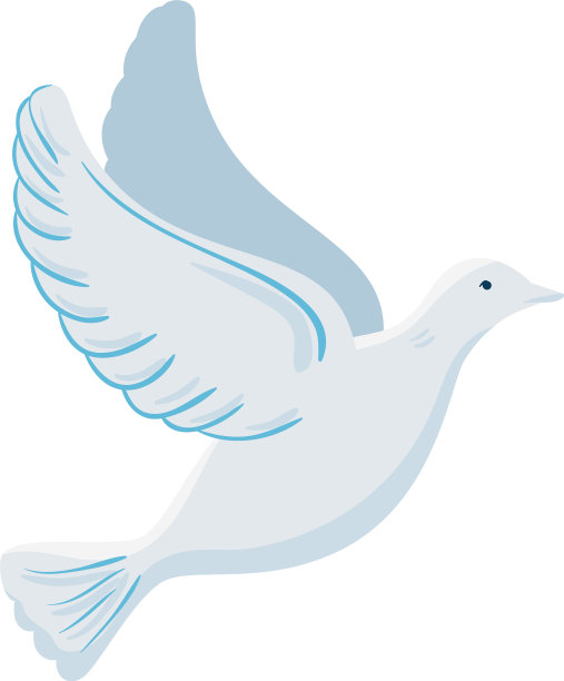 白鸽在白色的背景上飞翔图片下载