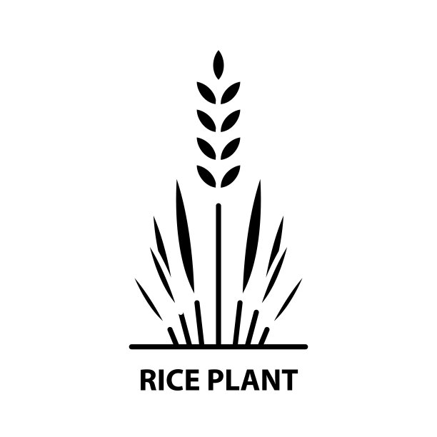 水稻植物图标，黑色矢量符号与可编辑的笔触，概念插图图片下载