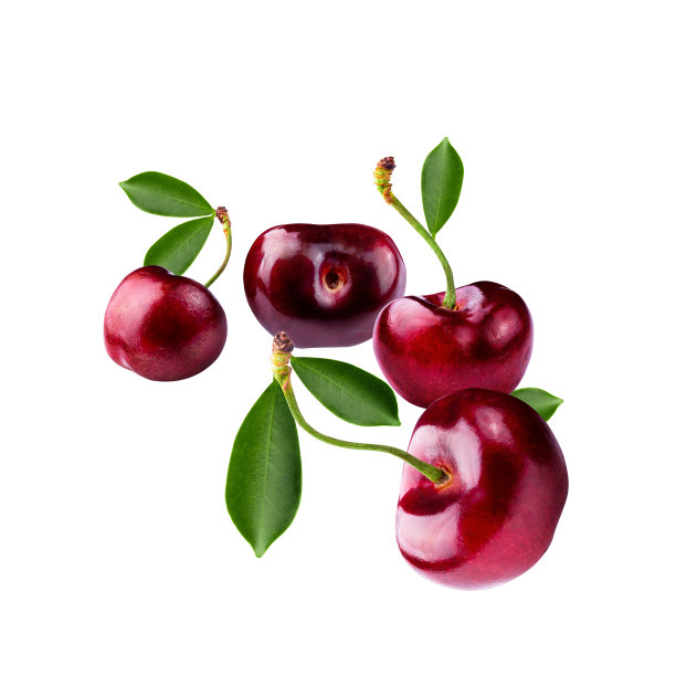 新鲜甜樱桃孤立在白色背景。图片下载