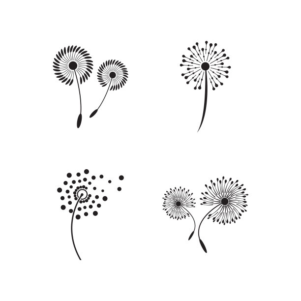 设置蒲公英图标设计图片下载