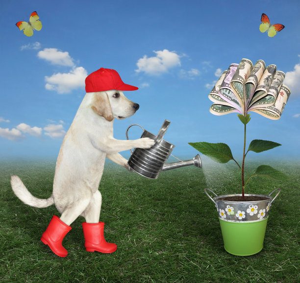 狗农夫浇钱花图片下载