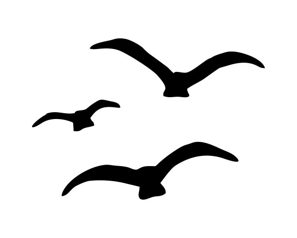 白色背景上的一群黑色的鸟图片下载