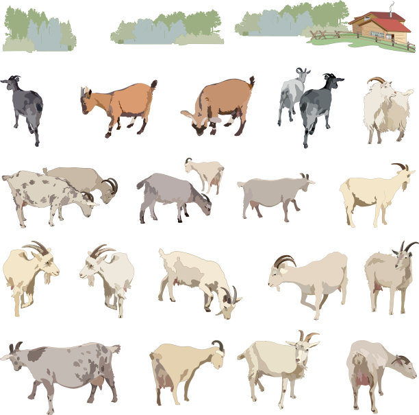 收集可爱的山羊和羊羔图片下载