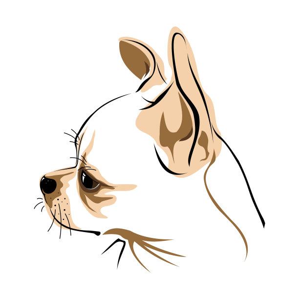 狗头在白色的背景中图片下载