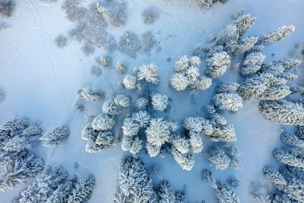 白雪覆盖的美丽森林俯视图图片下载