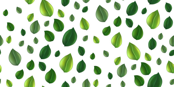 美丽的飞翔的绿茶叶图片下载