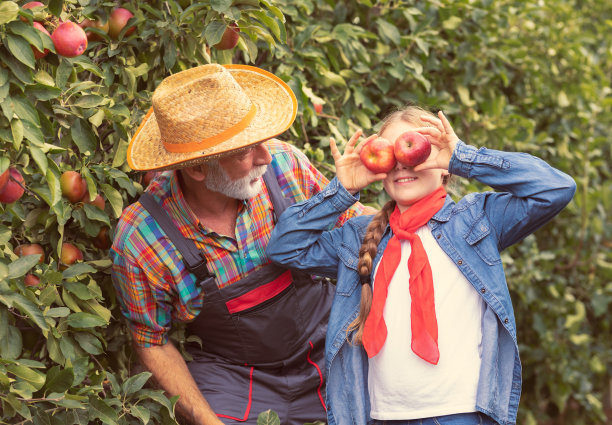 和爷爷在果园里玩图片下载