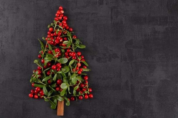 圣诞树。图片下载