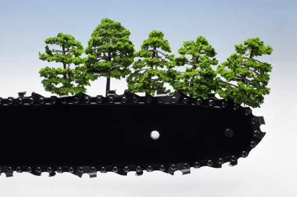 环保与木材切割概念照片。图片下载