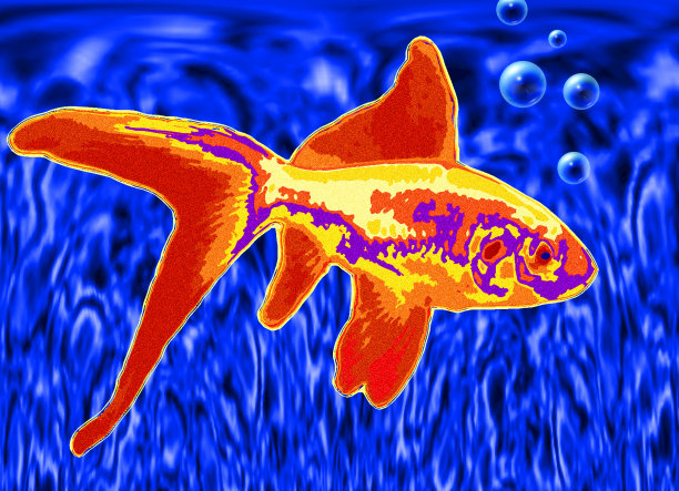 生动的迷幻的鱼图片下载