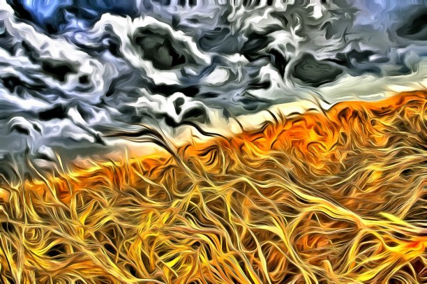 场的小麦图片下载