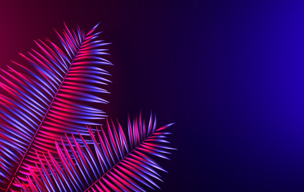 热带棕榈叶背景。夏季热带叶。异国情调的夏威夷丛林，夏季派对设计时髦的海报，传单，横幅，卡片，封面，小册子。霓虹灯。图片下载