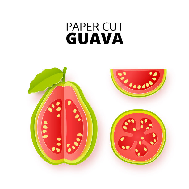 整套番石榴水果切片在一个剪纸风格。番石榴片和纸片。股票矢量插图。孤立在白色背景矢量插图。矢量剪纸海报，横幅，设计模板。折纸艺术。图片下载