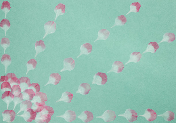 旧相册里的一页。天竺葵的花瓣。剪贴簿元素装饰的叶子，花和花瓣花。贺卡，请柬和祝贺。用于剪贴簿，问候图片下载