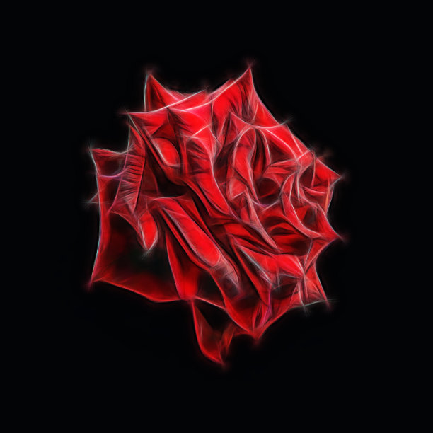 抽象的分形红玫瑰在黑色的背景。图片下载