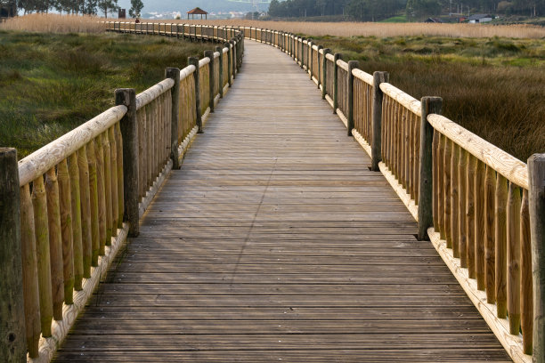 长长的木板路穿过高高的金色芦苇和沼泽草通向远处的凉亭图片下载