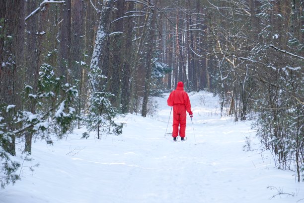 一个男人带着滑雪板在冬天的树林里图片下载