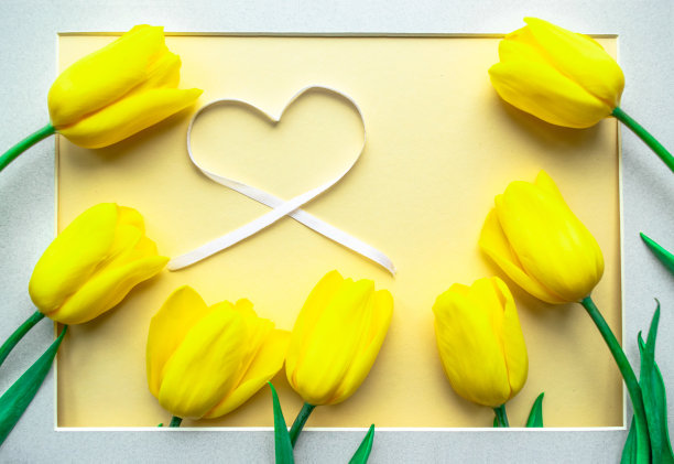 阳春黄花插花。黄色的新鲜郁金香与心黄色的纸背景。贺卡。图片下载