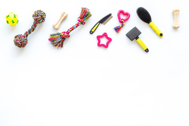 宠物玩具配件的狗和猫在白色的背景，俯视图图片下载