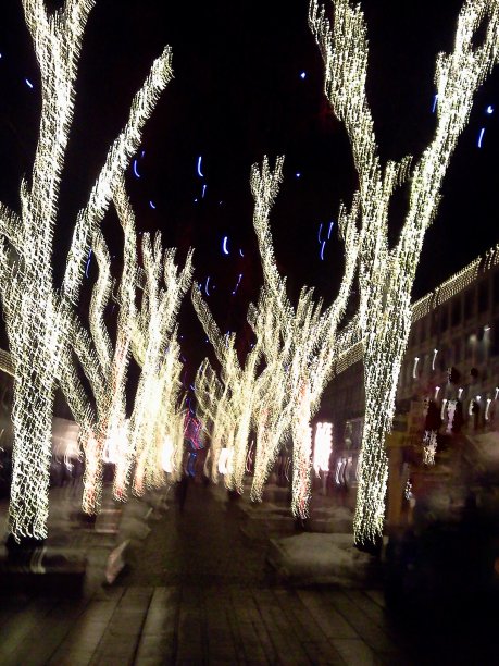 法尼尔大厅市场广场的灯光覆盖树图片下载