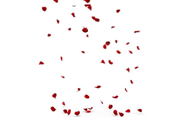 玫瑰花瓣美丽地落在地板上。模糊的背景图片下载